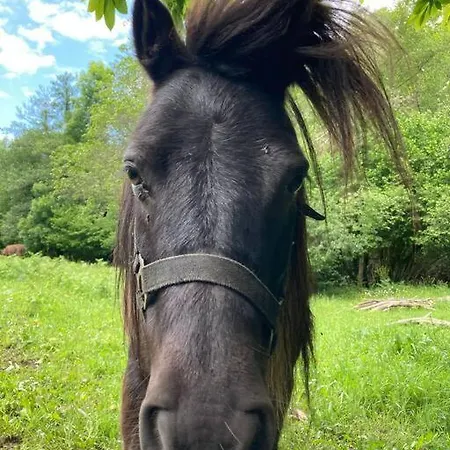 La Naranxa Сasa de vacaciones