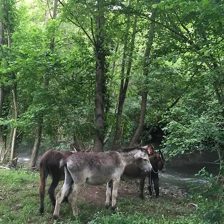La Naranxa * Bárzana