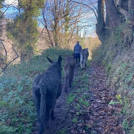 Сasa de vacaciones La Naranxa *