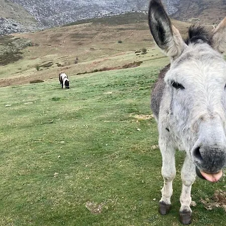 Tatil Evi La Naranxa Bárzana