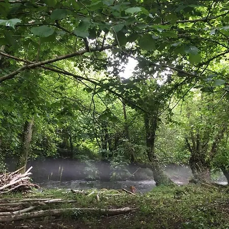 La Naranxa Tatil Evi Bárzana