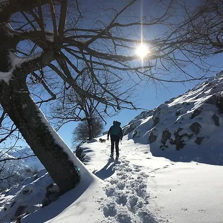 La Naranxa Tatil Evi Bárzana