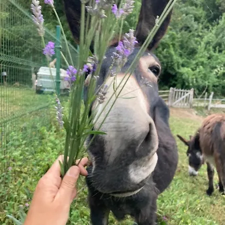 La Naranxa Сasa de vacaciones *